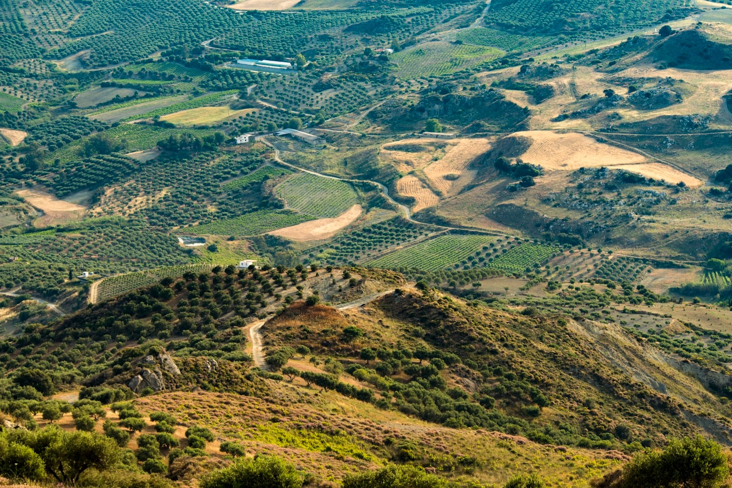 Il futuro delle filiere produttive italiane