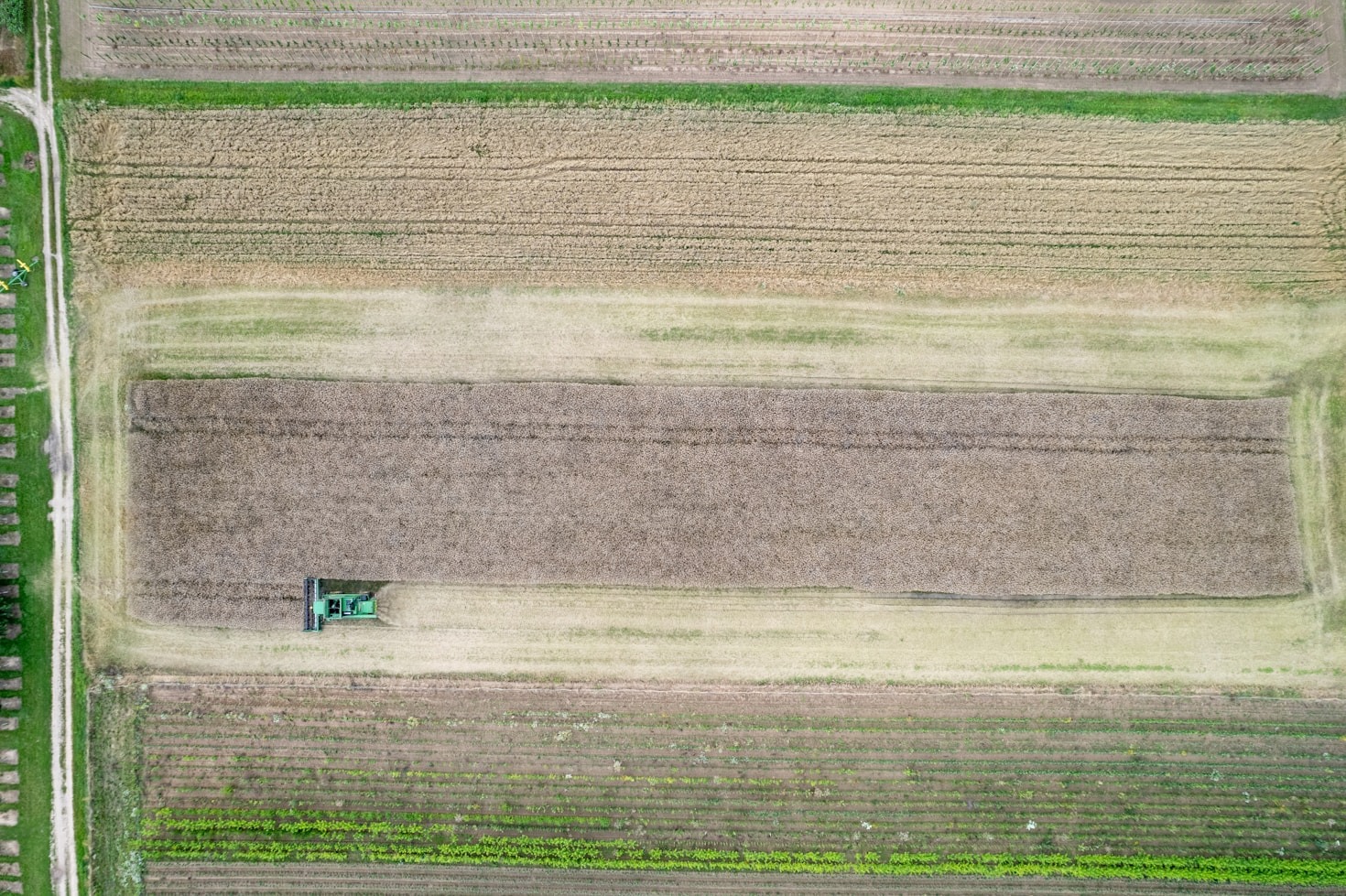 Analisi dei prezzi agricoli nel mercato globale