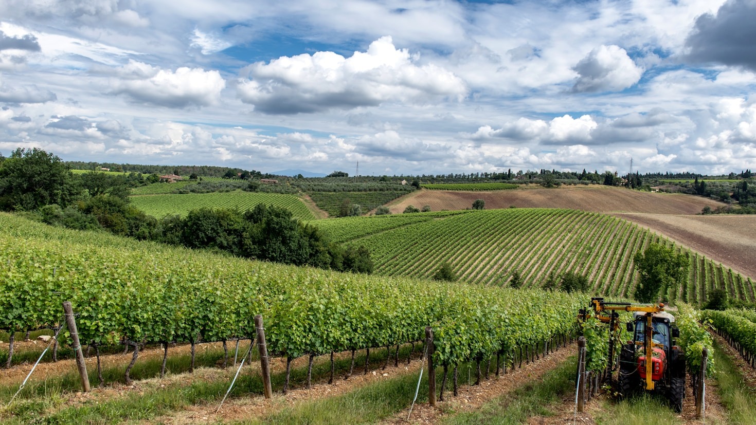 Strategie vincenti per il settore agricolo italiano